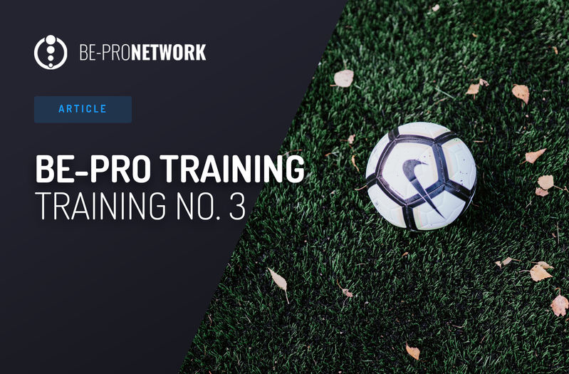 BE-PRO Training: Training No. 3