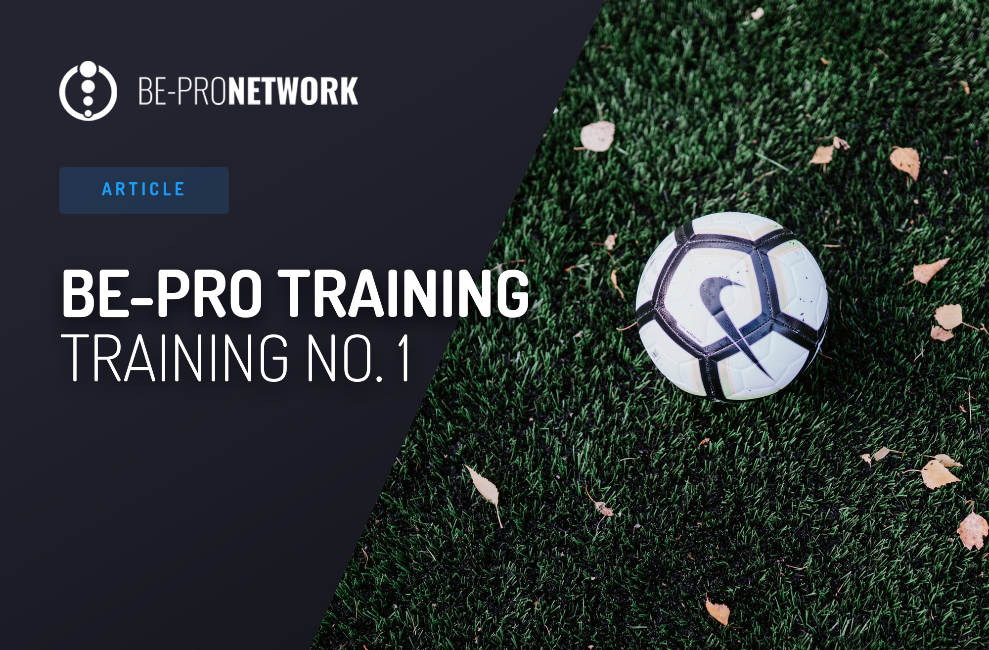 BE-PRO Training: Training No. 1